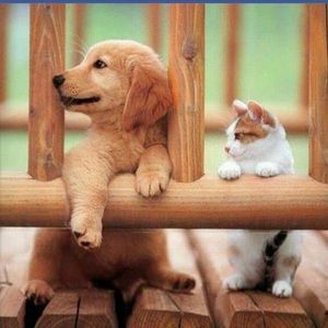 Meet your Posher, Ankita